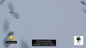 Подледная рыбалка на карася 21.10.25 г.