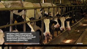 Предупредить смертельную болезнь 17-10-2025