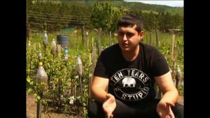 Железов Валерий Сергей Железов о саженцах