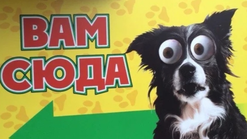 Приколы смешные