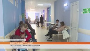 Ситуация с ОРВИ в Мордовии на октябрь