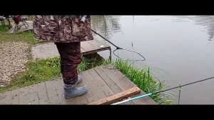 Светлые Горы Форель 20.10.2025г.