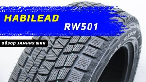 Habilead IceMax RW501 - обзор зимних шин