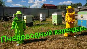 Пчеловодный календарь на весь год | Профессор Пашаян | Часть 1: Осенне-зимний покой