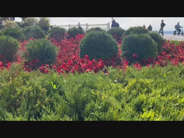 ЖК Триумф! Студия! Цена 🔥 смотреть онлайн