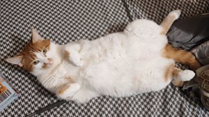 Немного обо всём. Влог.