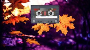Жёлтые листья (группа ВСТРЕЧА 1997)