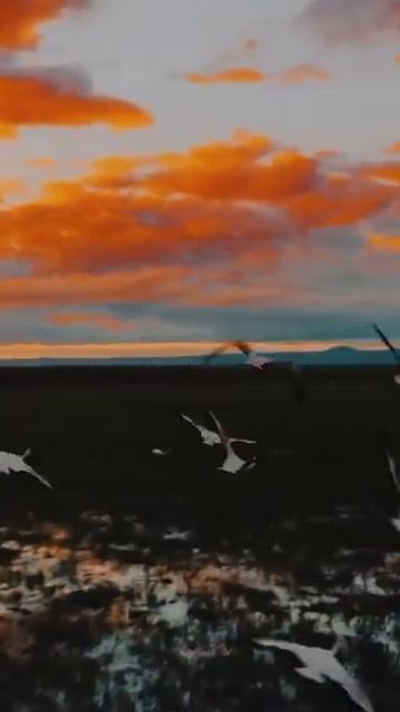 Кения — где свобода становится образом жизни