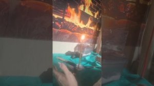 Защита _Три клинка_  #защита #ножи #огонь #клинки #отсекание #параскева #заговор