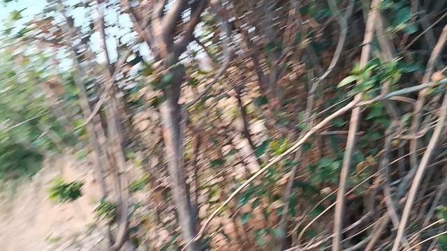 КЕМПИНГ КЕДР ЕЙСК ЗАКАТ смотреть онлайн