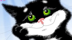 Сеанс релаксации у кошки.