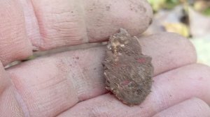 покопал советики+20