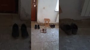 ст. Курская. Уютный 3-комнатный дом, расположенный в тихом и зеленом районе.