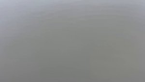 1000123206.mp4