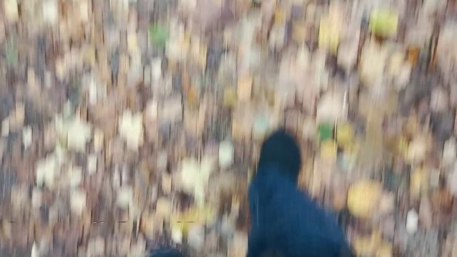 ОСЕННИЙ БЛЮЗ