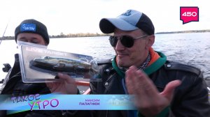 Особенности приманки на щуку и судака 🐟