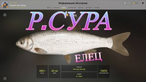 ТРОФЕЙ ЕЛЕЦ!!!РЕКА СУРА - РУССКАЯ РЫБАЛКА 4