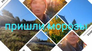 ОСТОРОЖНО листопад //Морозы пришли и к нам