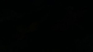 Лодка, плыви!