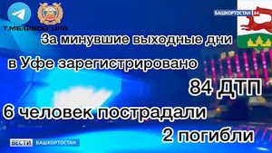 В Уфе за сутки Госавтоинспекция задержала 23 пьяных водителя