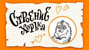 Схема строения хорька. Иллюстрация по курсу "ТОП- иллюстраТОР".