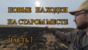 ПОЛЕ ВЫДОХЛОСЬ? Находок не было... НО ЭТО НЕ ТОЧНО. ПОИСК МОНЕТ. ЧАСТЬ 2
