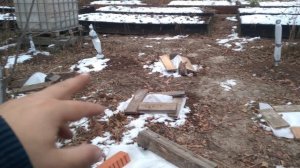 Год на даче: как из леса выросла баня, грядки и домик к 19 октября