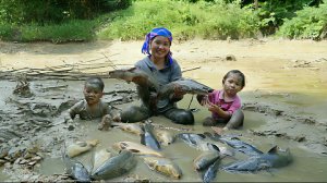 Ловим диковинных рыб, и продаем их на рынке вместе с дочкой. Жизнь во Вьетнаме