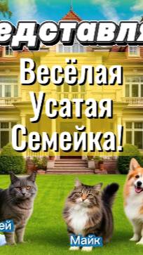 😸🐶😸«Веселая Усатая Семейка: Заметки Дракоши Митюши»