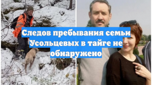 Следов пребывания семьи Усольцевых в тайге не обнаружено