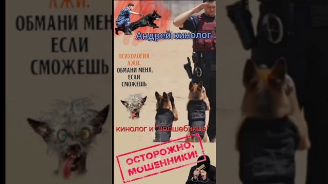 Кинолог и волшебница🧚♀️ смотреть онлайн