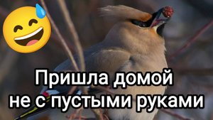 20-10-2025. Пришла домой не с пустыми руками.