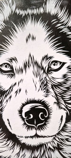 Гравюра хаски