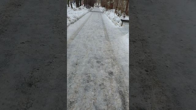 №98. Двор Сибирская 73. 14 февраля 2025 г., 10:27:27. VID_20250214_102357110