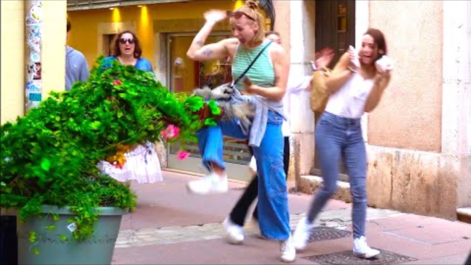 _Laughs You Didn’t See Coming 🐶🐱_BUSHMAN PRANK смотреть онлайн