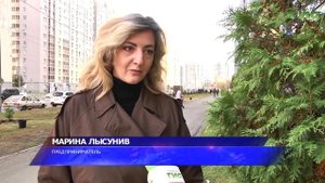 Озеленение Самары: осенью высадят 5 тысяч саженцев