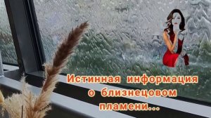 Истина о близнецовом пламени | Виктория БалиАрт #ченнелинг #истина #близнецовое_пламя