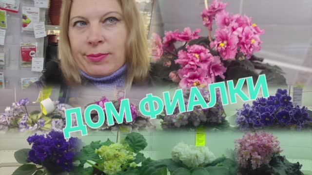 ДОМ ФИАЛКИ В МОСКВЕ