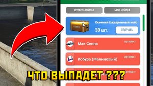 ОТКРЫЛ 30 ЕЖЕДНЕВНЫЙ КЕЙСА НА РМРП! *ЧТО ПОЛУЧИЛ?*