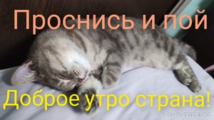 Доброе утро страна.Чаепитие.Без электрика никак!