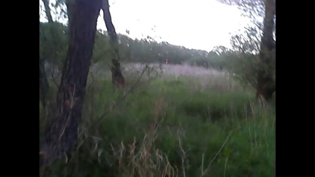 Аномальная зона или что это? смотреть онлайн