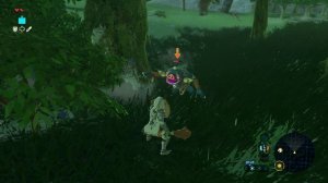 легенда о зельде