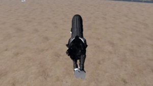 моя жизнь в конюшне 🌺, конкурная тренировка, новая лошадь🍉