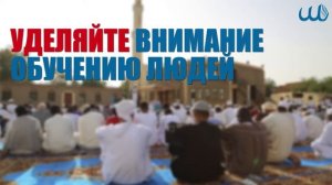 Уделяйте внимание обучению людей  Абу Яхья Крымский