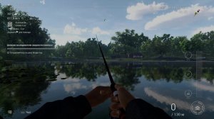 Пытаемся поймать щуку