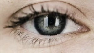 ASKO pro home - технологии для вас