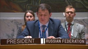 Выступление Д.А.Полянского по санкционному режиму в отношении Гаити