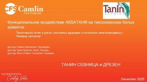 Словения 2025, Лашко_доклад Мануэль Абаскаль (Мексика)_функциональные эффекты АКВАТАН (ДРЕСТАН) на к