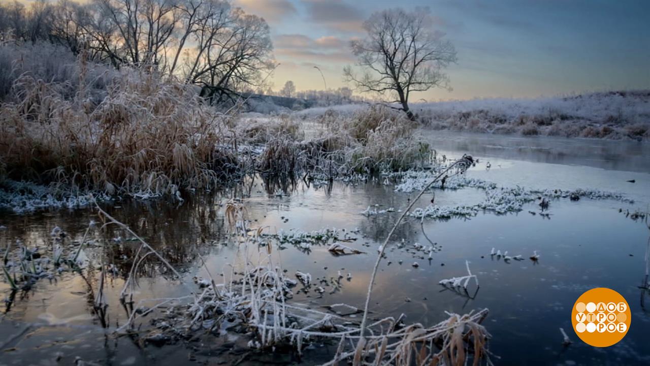 Предзимье. Скоро первый снег! Доброе утро. Фрагмент выпуска от 20.10.2025
