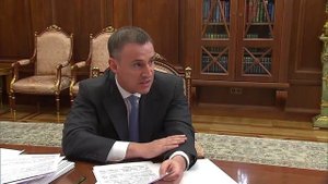 Дмитрий Патрушев доложил Президенту о ходе реализации нацпроектов в сфере экологии и развитии АПК